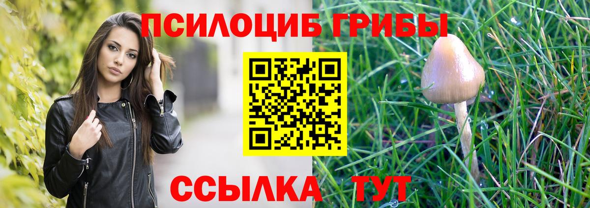Псилоцибиновые грибы ЛСД Минусинск